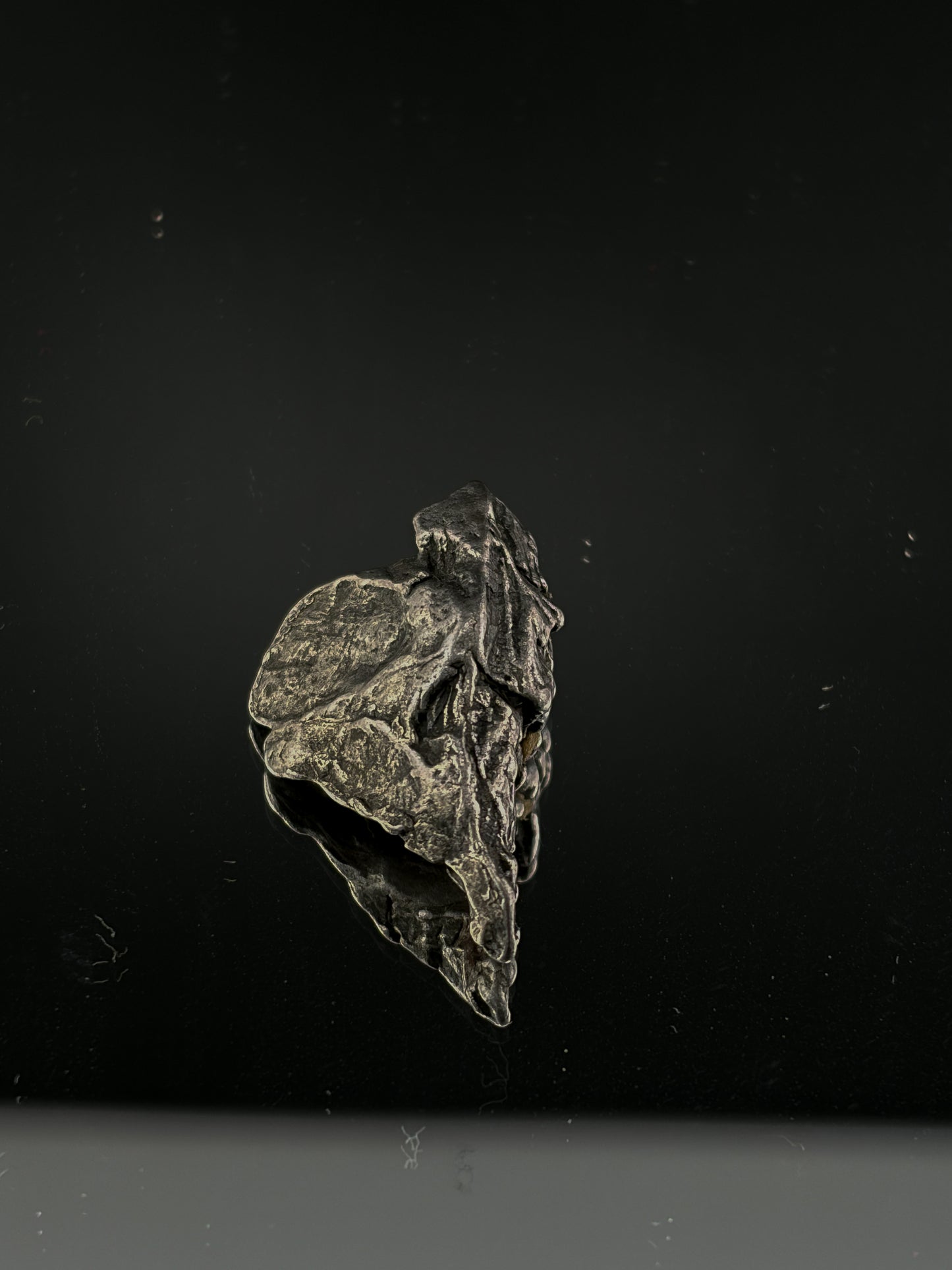 Capo Del Cielo Meteorite